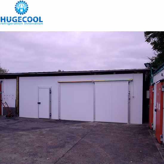 10 Years Warranty Cold Storage Room for Fruits Vegetables Meat Fishes