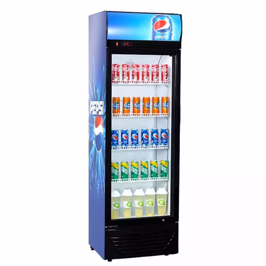 Commercial Display Refrigerator Double Glass Door Beer Fridge Cooler and Drink Beverage Chiller