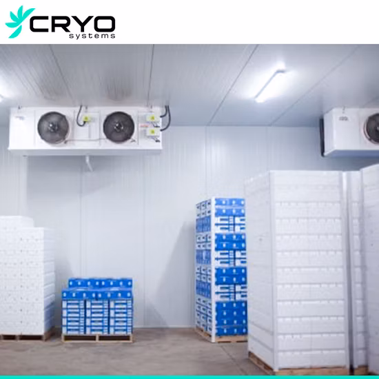 Продукты питания и напитки, авокадо, фрукты Az, холодильные камеры для хранения, цены на холодильные камеры